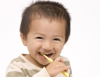 生涯、自分の歯で食べるためのケアは1歳から